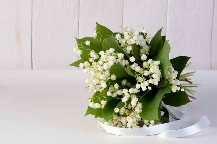 Bouquet of Lily of the Valley with White Ribbon