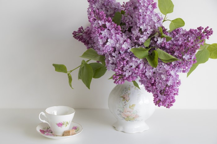 Still-life with Lilacs, Teacup, and Sweets