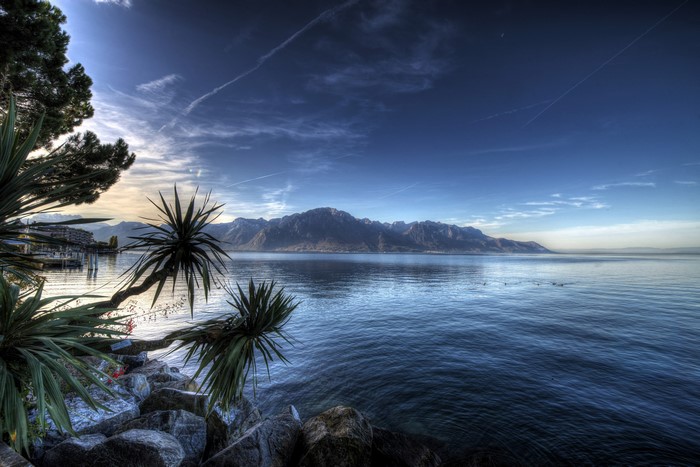 Lake Geneva with Mountains and Palm Trees