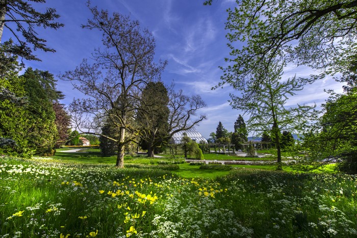 Park with flowers and a greenhouse on Mainau Island