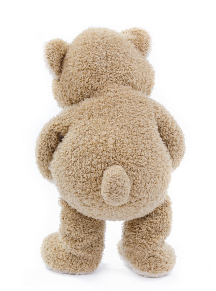 Teddy bear from the back