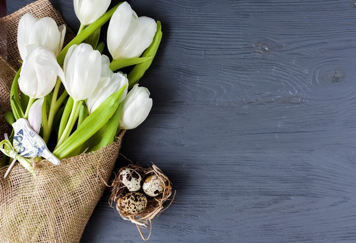 White Tulips and Quail Eggs