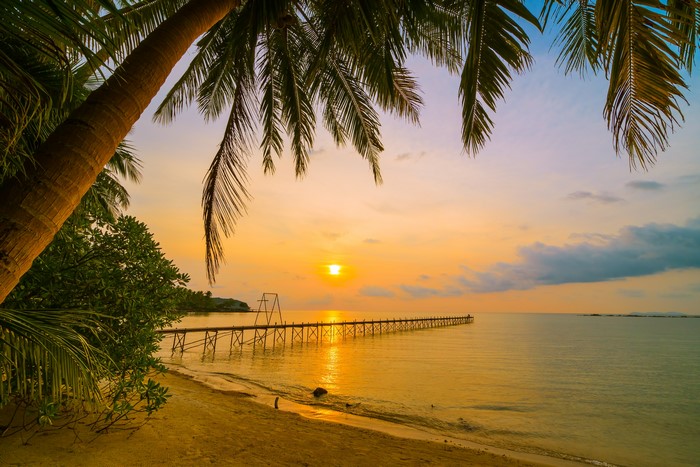 Sunset over the ocean with a pier and palm trees
