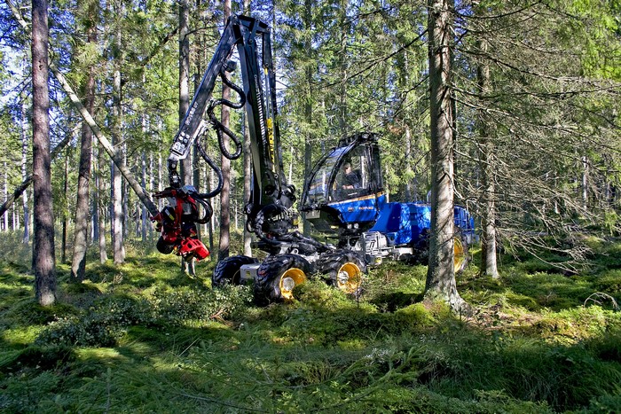 Rottne H11D 6WD harvester in a forest