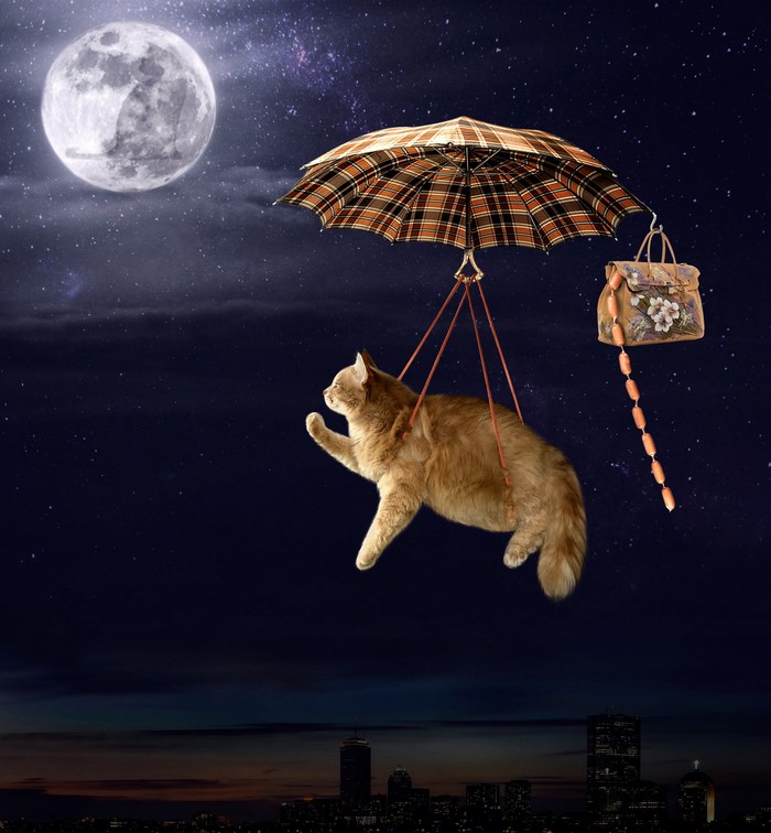Cat flying with an umbrella and sausages at night