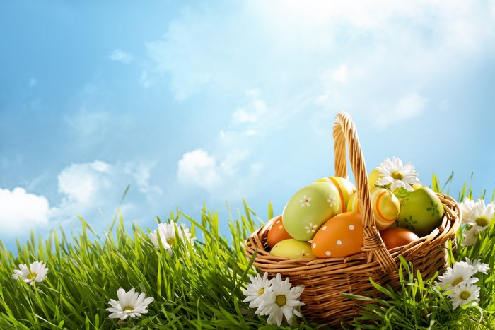Easter eggs in a basket on grass with flowers and sky