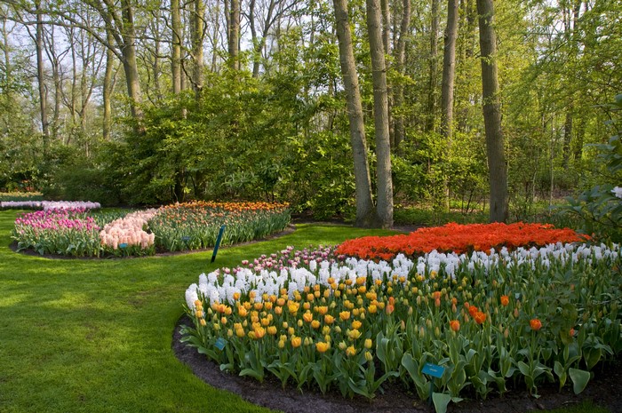Keukenhof Gardens with Tulips and Hyacinths in Lisse, Netherlands