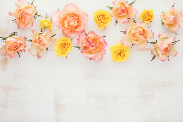 Roses