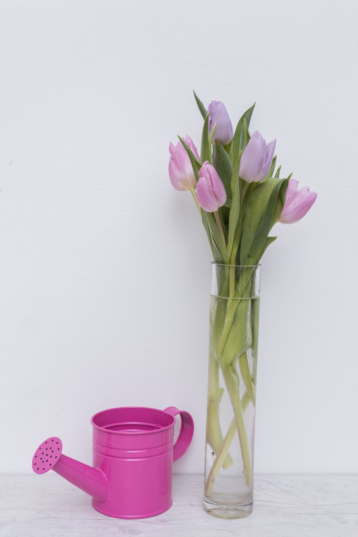 Pink watering can and tulips in a vase
