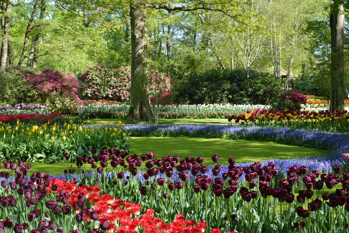 Keukenhof Gardens with Tulips and Azaleas in Lisse, Netherlands