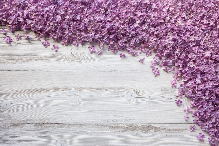 Lilac petals on weathered wood planks