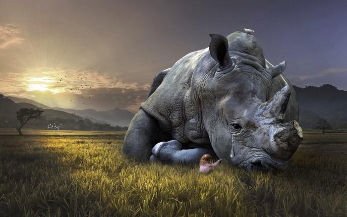 Sad Rhino and Child in a Field