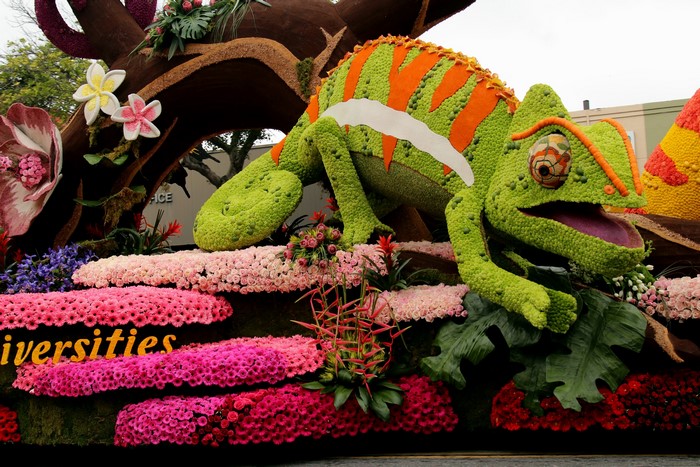 Chameleon float with flowers at Pasadena