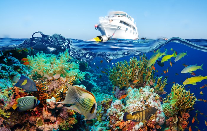 Underwater coral reef with fish and a boat