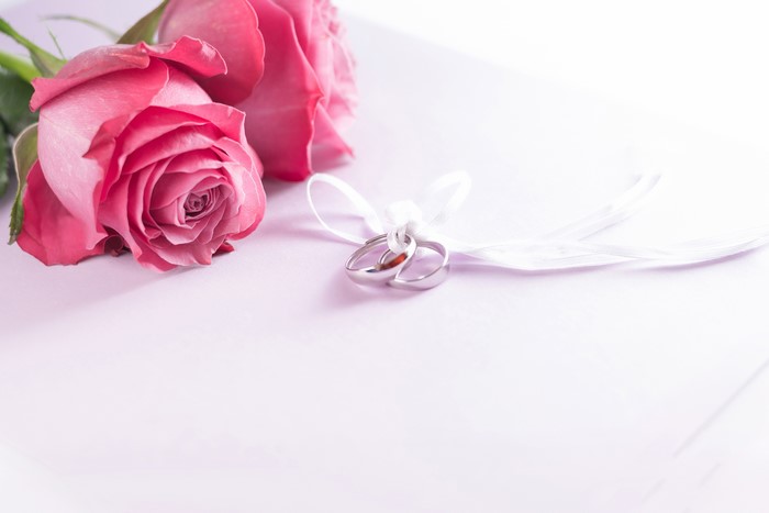 Two pink roses and wedding rings tied with ribbon