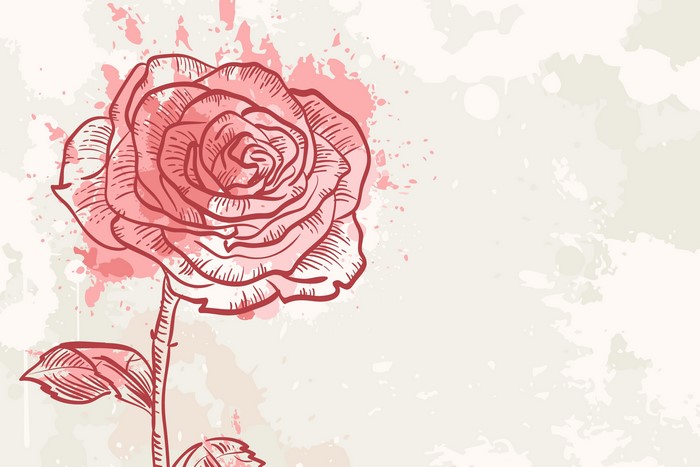 Rose painting art with watercolor splashes