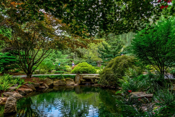 Gibbs Gardens Pond with Stones and Trees