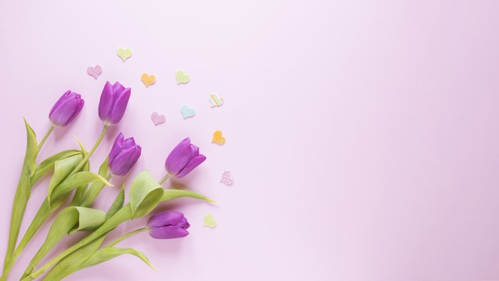 Purple Tulips and Hearts on Pink Background
