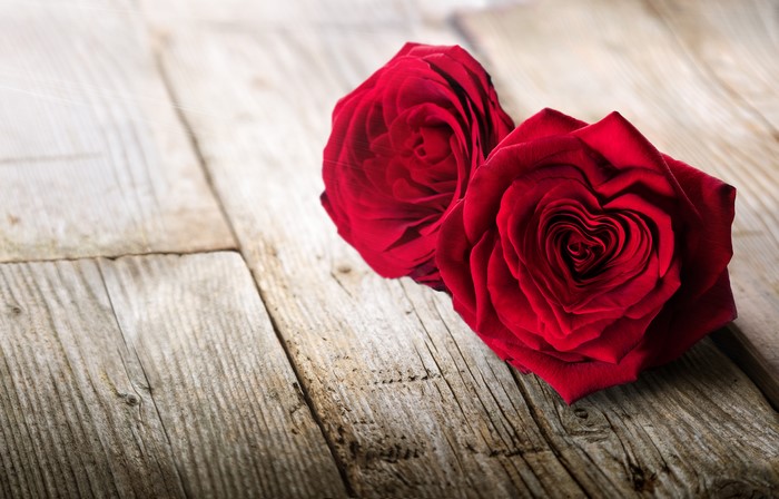 Two red roses on wooden planks
