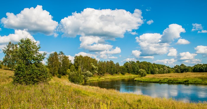 River and trees under a cloudy blue sky in Russia