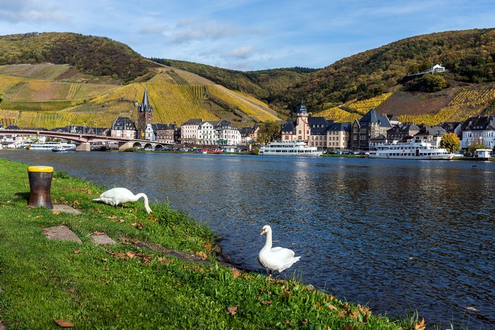 Bernkastel-Kues, Germany Riverfront with Swans and Vineyards