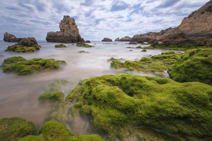 Mossy rocks and sea stacks at Praia do Alemao, Portugal