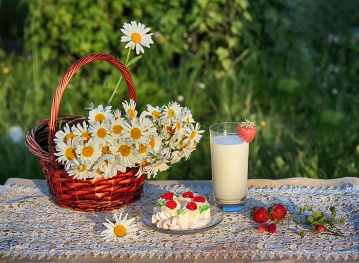 Still life with daisies, cake, milk, and strawberries