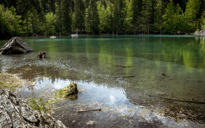Lake Vert in France