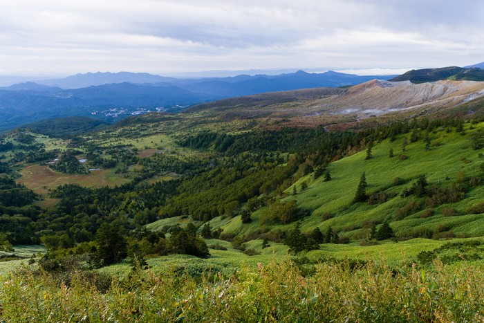 Mountainous landscape with forests and grasslands
