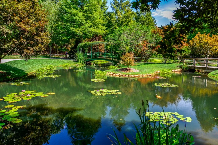 Gibbs Gardens Pond with Bridges and Lily Pads