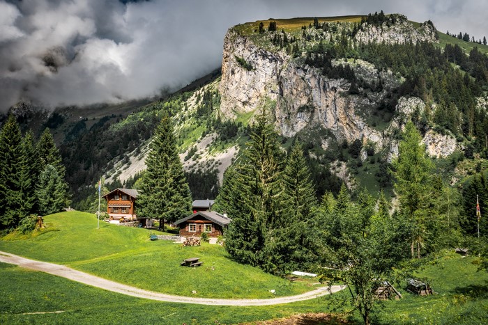 Houses in a mountain landscape with spruce trees