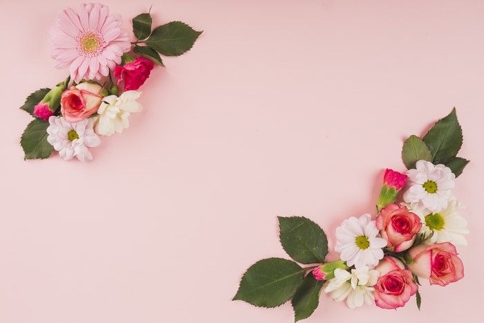 Roses, Chrysanthemums, and Gerberas on Pink Background