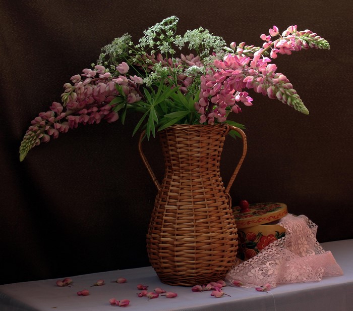 Pink Lupinus flowers in a wicker vase with lace