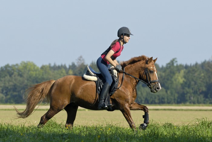 Girl riding a brown horse in a field