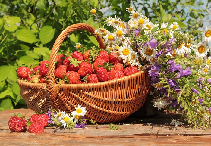 4K Wicker basket of strawberries with wildflowers