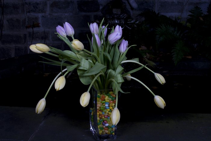 Vase of Tulips with Jelly Beans