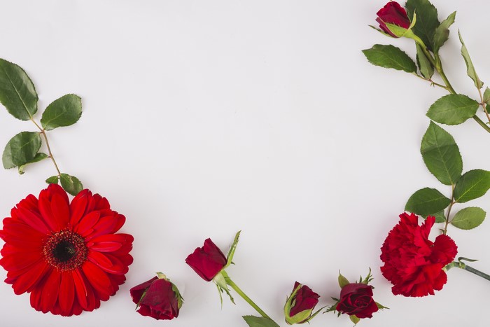 Red Gerbera, Roses, and Carnations on White Background