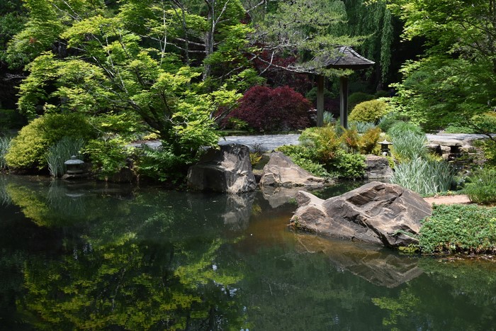 Gibbs Gardens pond with rocks and trees