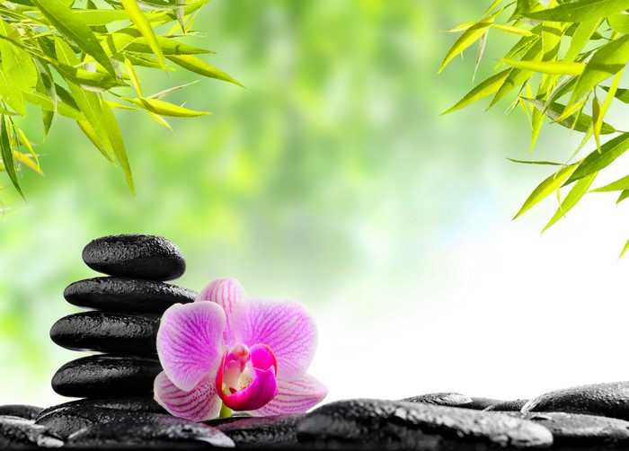 Pink Orchid and Stacked Stones with Bamboo