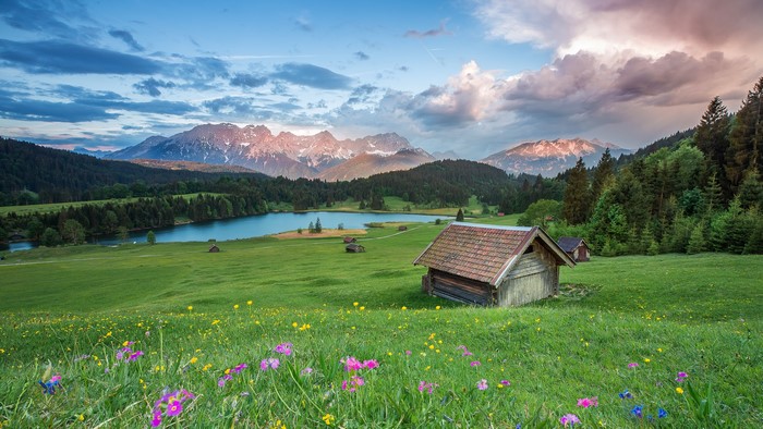4K Scenery of Grasslands and Mountains in Alps