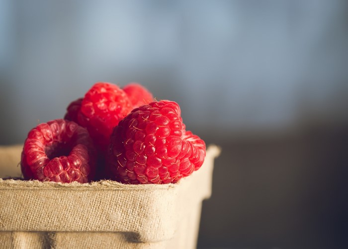 Raspberries in a cardboard container