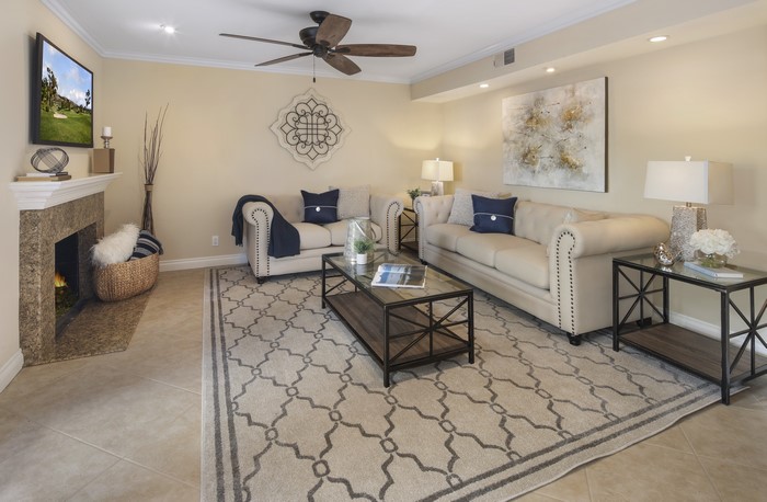Living room with sofas and fireplace