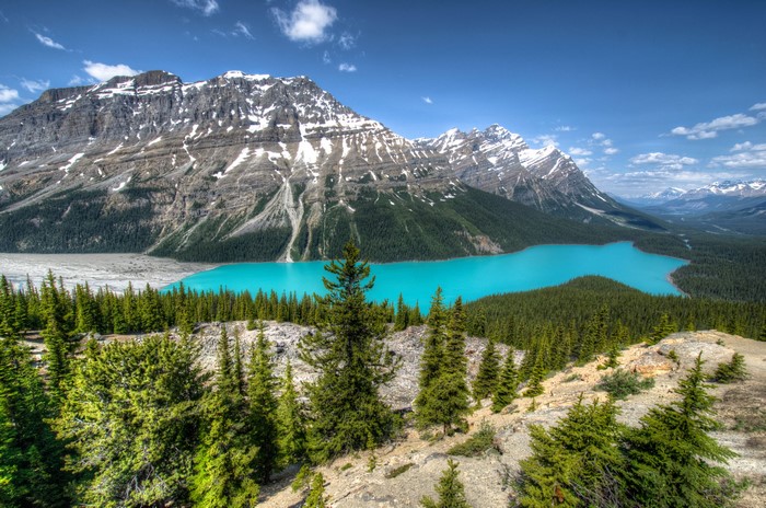 Peyto Lake in Banff National Park, Canada