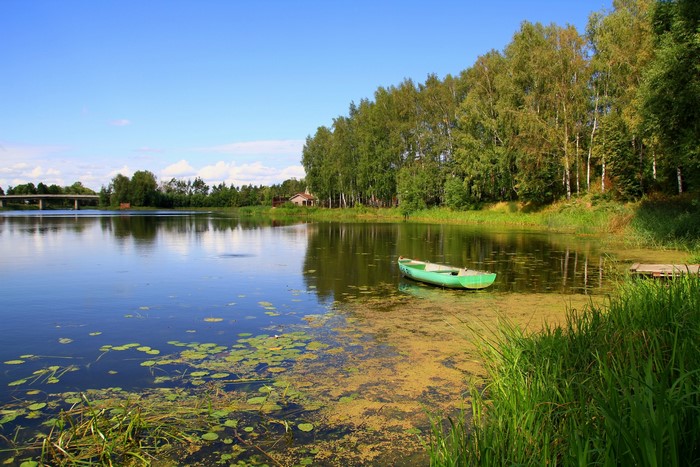 Green boat on a river with trees and a bridge