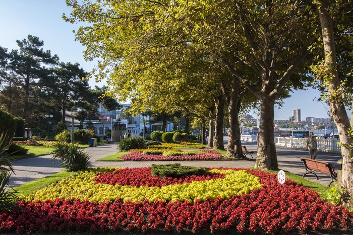 Flower beds and trees in a park in Gelendzhik, Russia