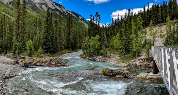 River flowing through a forest with mountains and a bridge