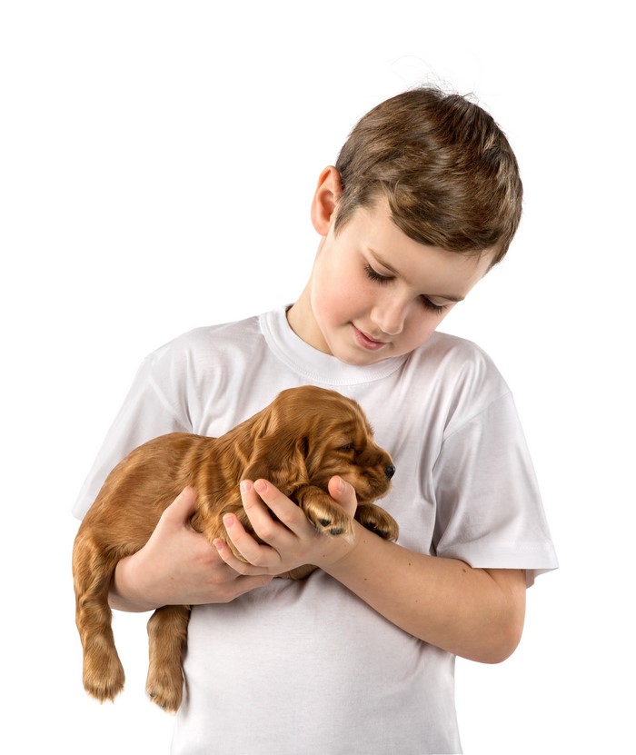 Boy holding a puppy