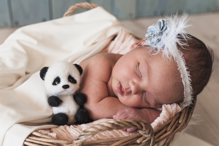 Newborn baby sleeping with teddy bear in basket