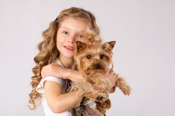 Girl holding a Yorkshire terrier
