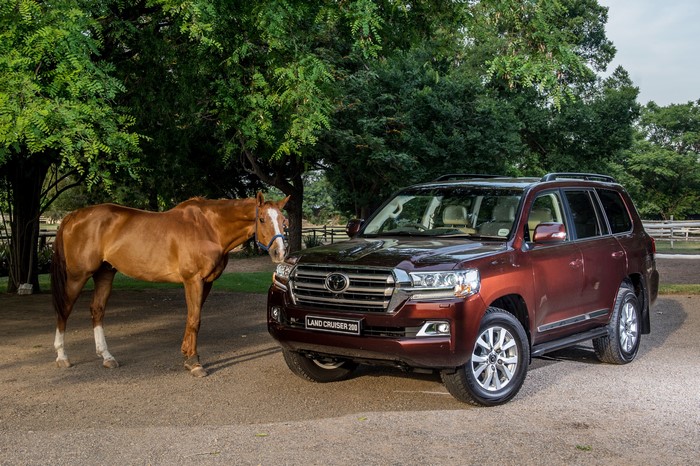 Brown horse and Toyota Land Cruiser 200 VX-R